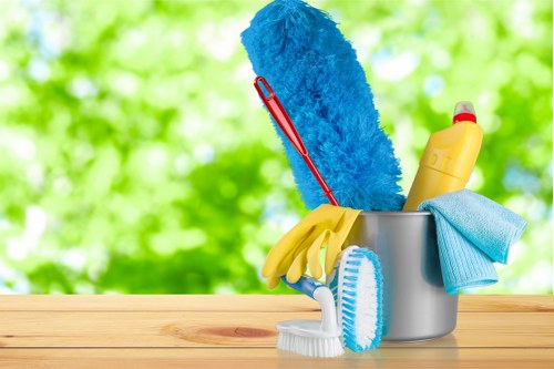 Experienced deep cleaning service highlighting quality and care in Acton