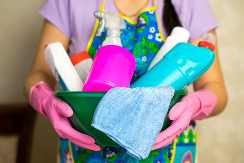 Professional carpet cleaning in an Acton home living room
