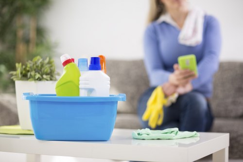 Regular house cleaning in a modern Acton apartment