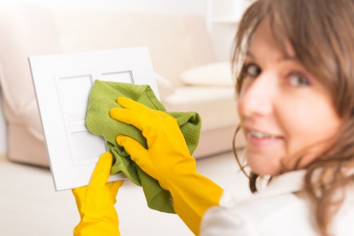 Commercial and domestic oven cleaning service in Acton